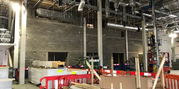 Facing Blockwork in Pharmaceutical. Grange Castle Dublin
